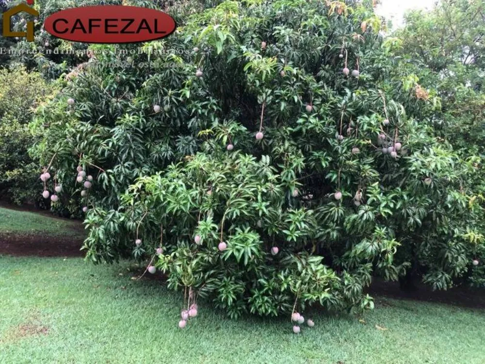 Casa, 3 quartos, 900 m² - Foto 5