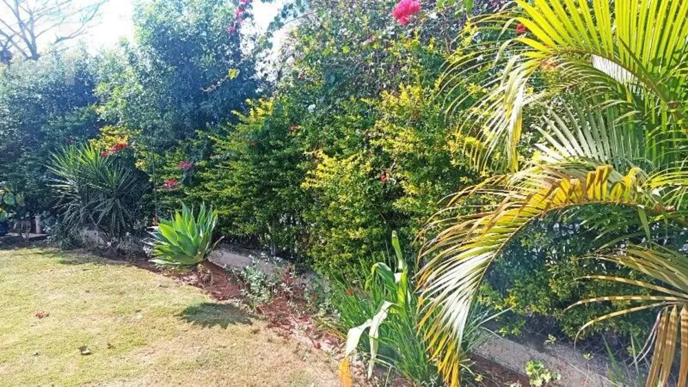 Casa, 3 quartos, 299 m² - Foto 10