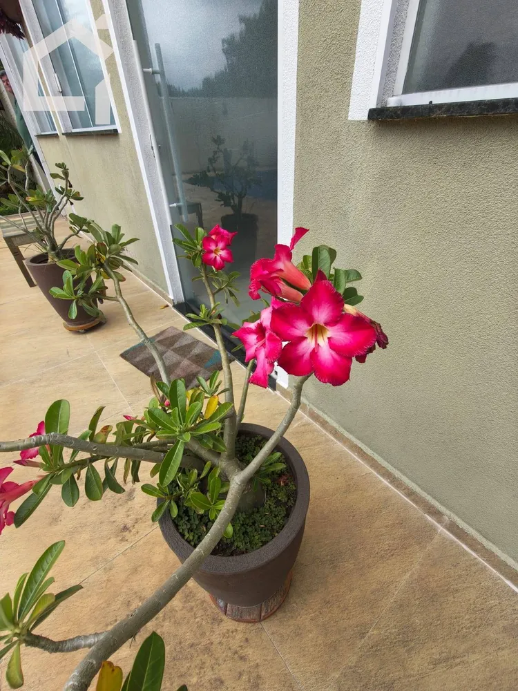 Casa, 3 quartos, 450 m² - Foto 5