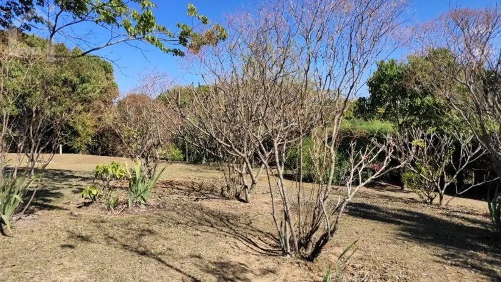 Terreno, 1200 m² - Foto 4