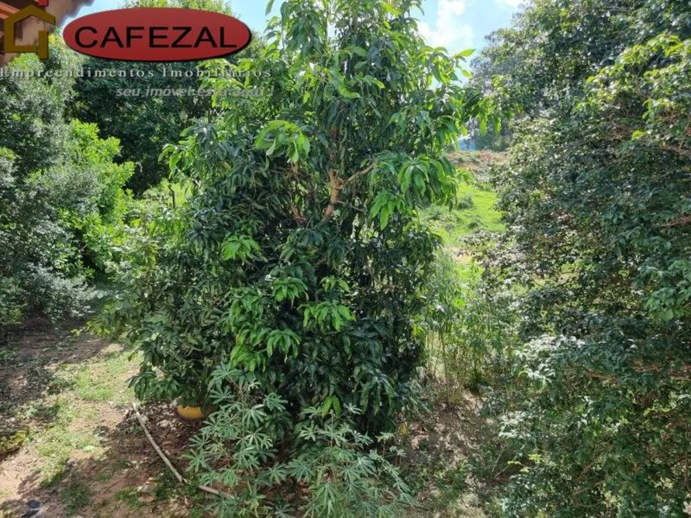 Casa, 2 quartos, 497 m² - Foto 12