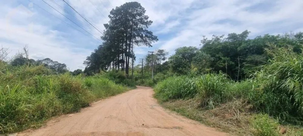 Prédio Inteiro - Foto 5