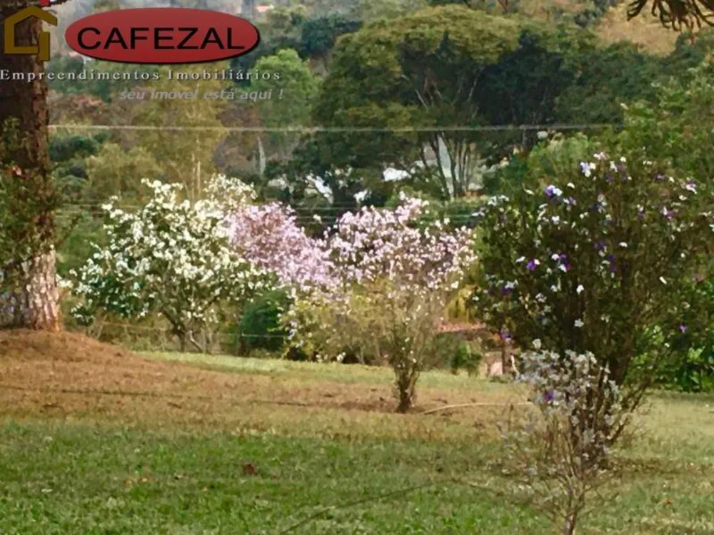 Casa, 3 quartos, 350 m² - Foto 10