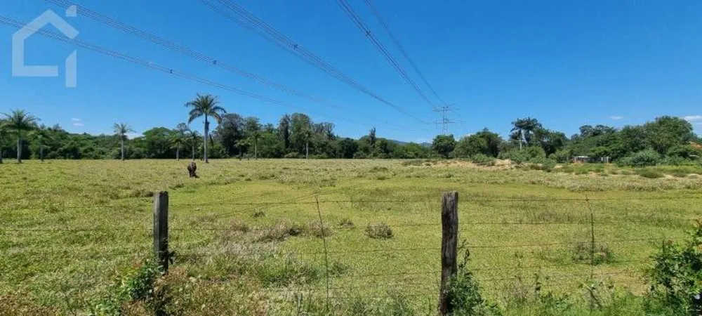 Terreno, 3 hectares - Foto 1