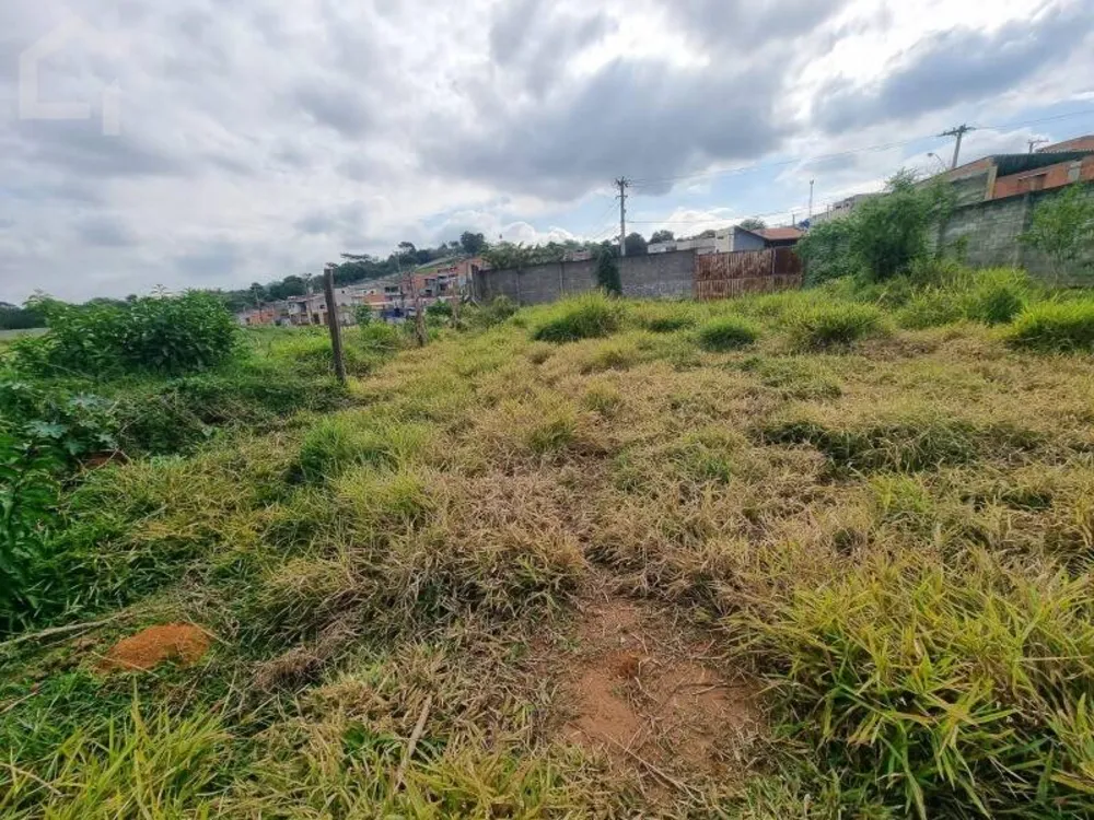 Terreno - Foto 4