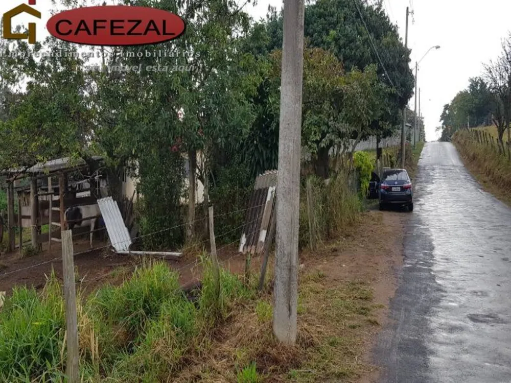 Terreno, 5 hectares - Foto 6