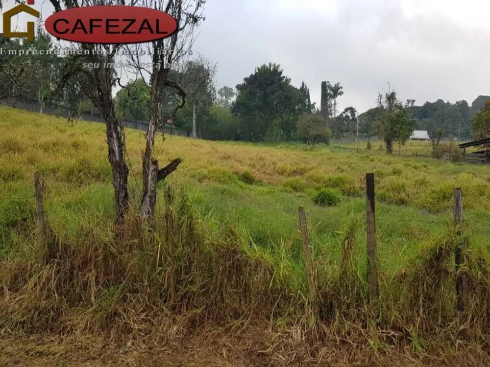 Terreno, 5 hectares - Foto 3