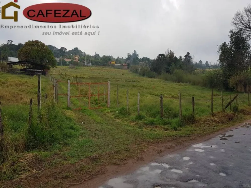 Terreno, 5 hectares - Foto 4