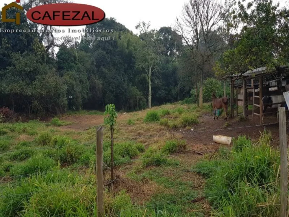 Terreno, 5 hectares - Foto 2