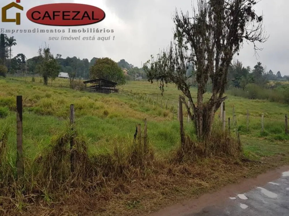 Terreno, 5 hectares - Foto 1