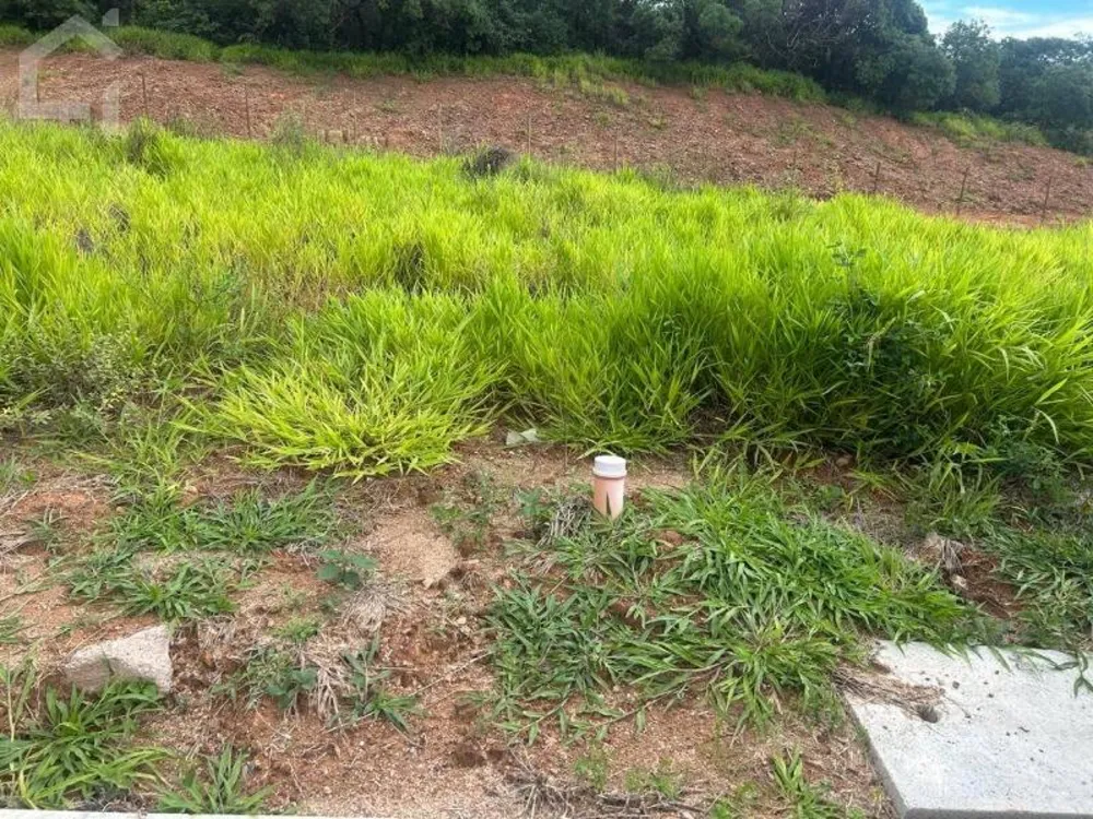 Terreno, 250 m² - Foto 1