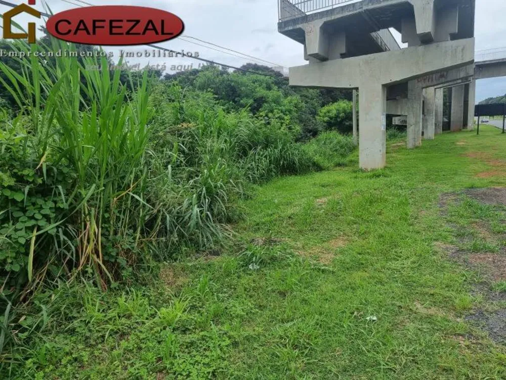 Terreno - Foto 2