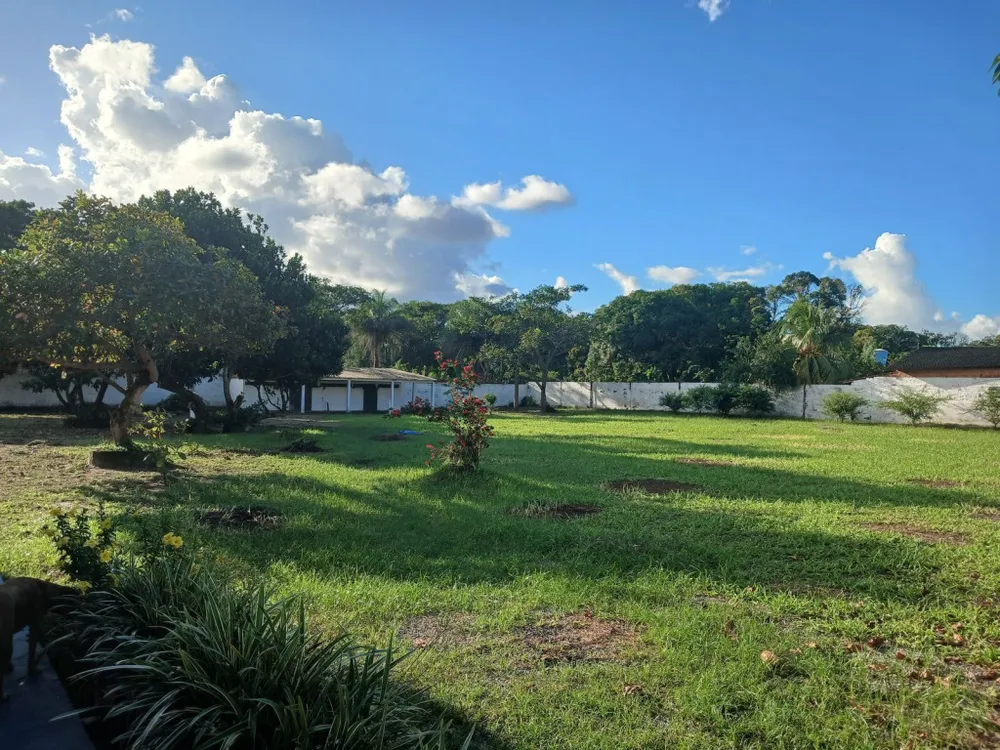Terreno, 6600 m² - Foto 10