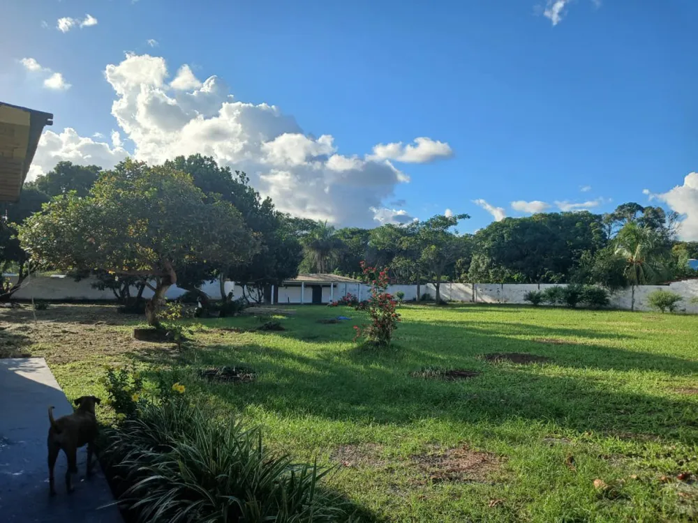 Terreno, 6600 m² - Foto 12