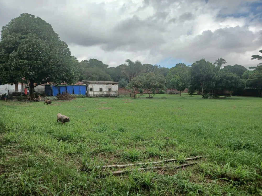 Terreno, 6600 m² - Foto 2