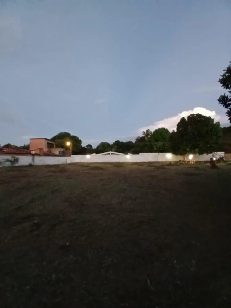 Terreno, 6600 m² - Foto 6