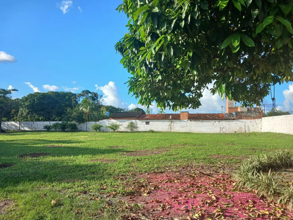 Terreno, 6600 m² - Foto 11