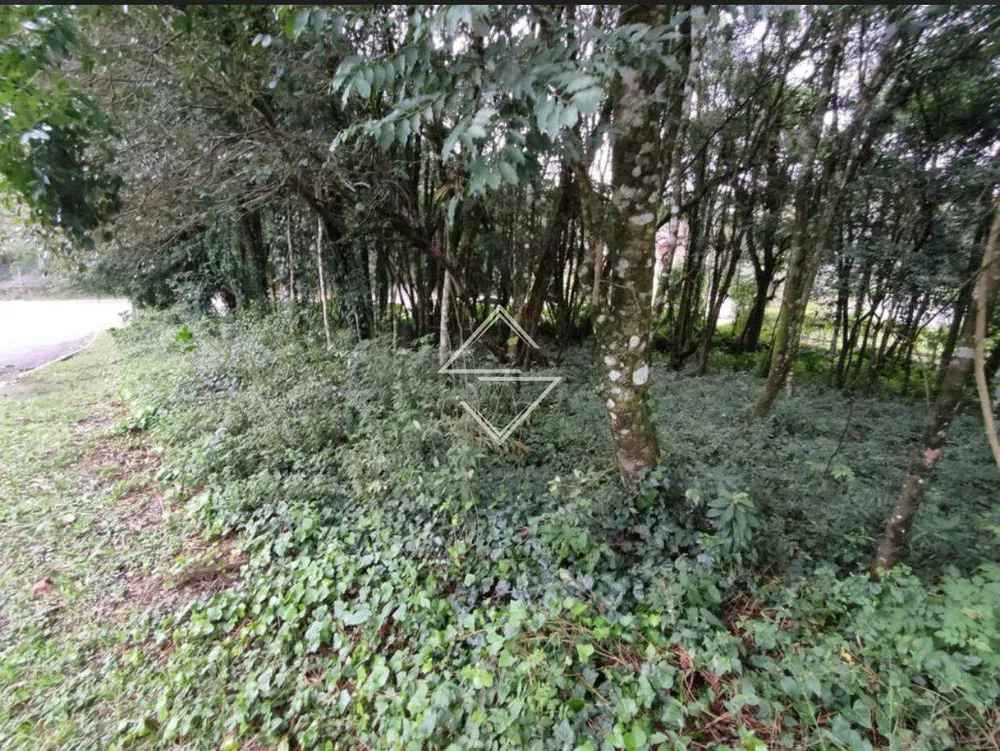 Terreno, 864 m² - Foto 3