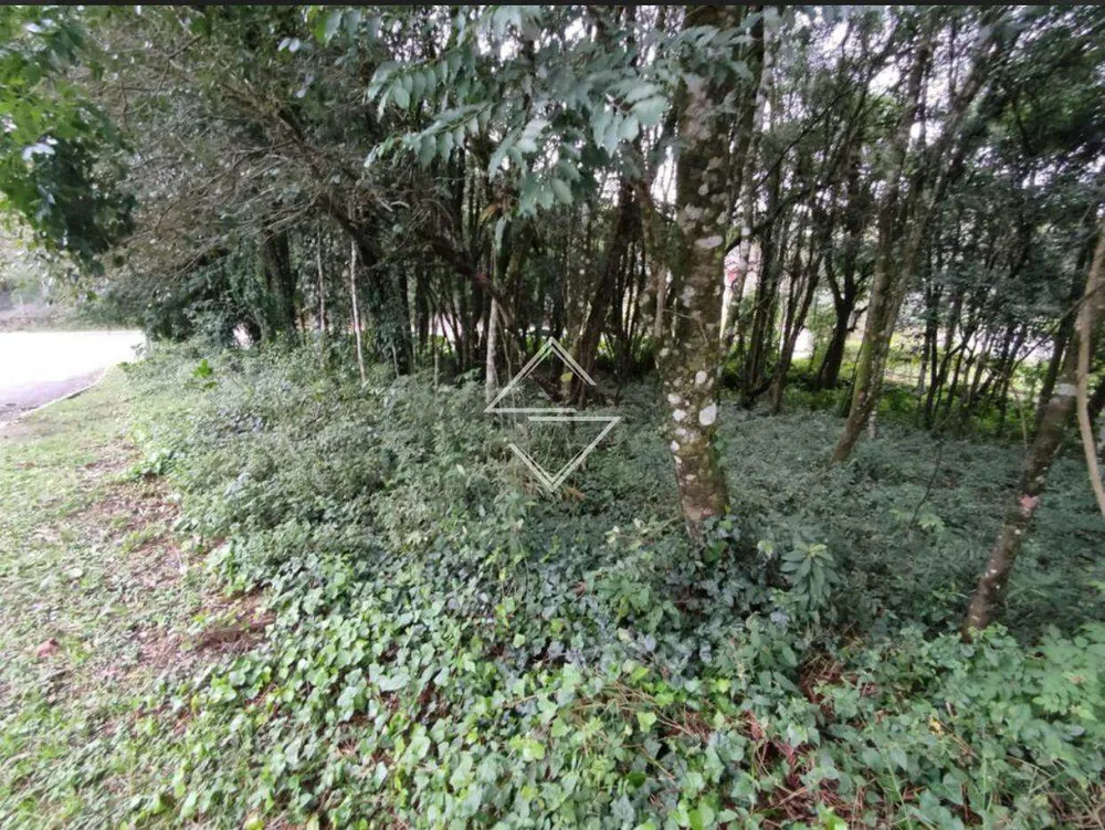 Terreno, 864 m² - Foto 14