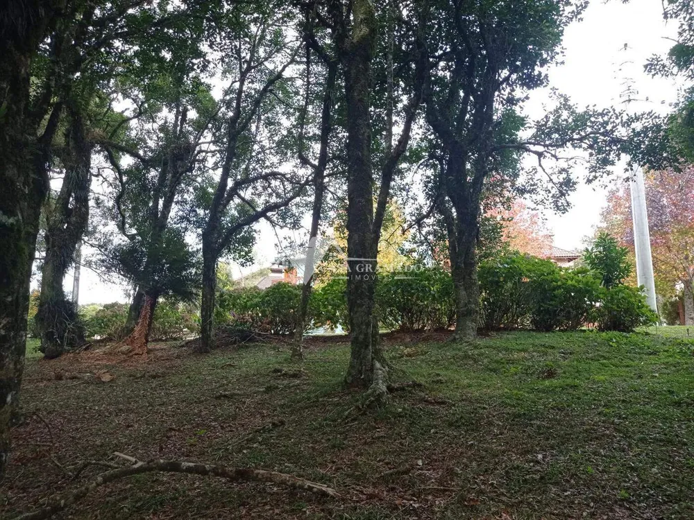 Terreno, 1593 m² - Foto 10