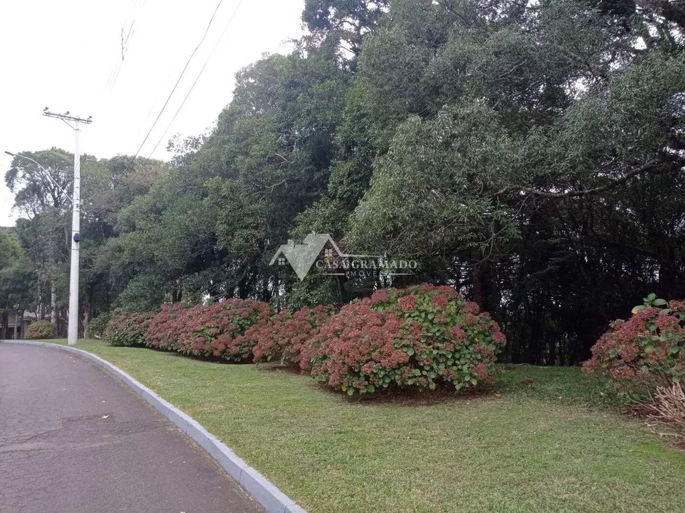 Terreno, 1593 m² - Foto 1