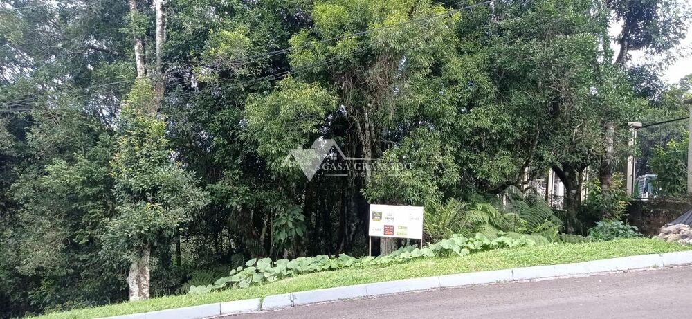 Terreno à venda, 1900m² - Foto 5