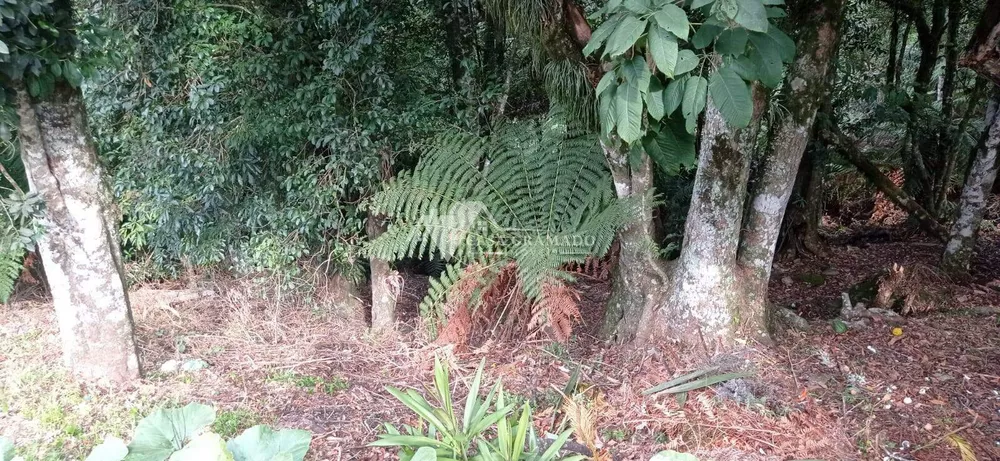 Terreno, 1900 m² - Foto 2