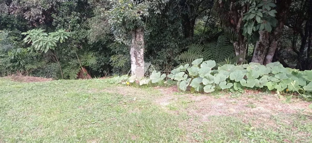 Terreno, 1900 m² - Foto 4