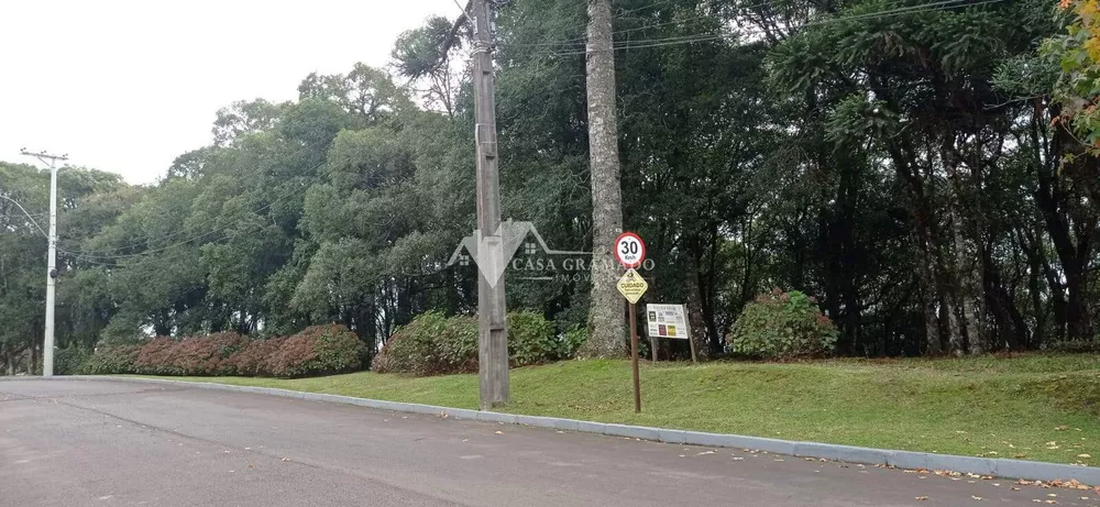 Terreno, 1593 m² - Foto 4