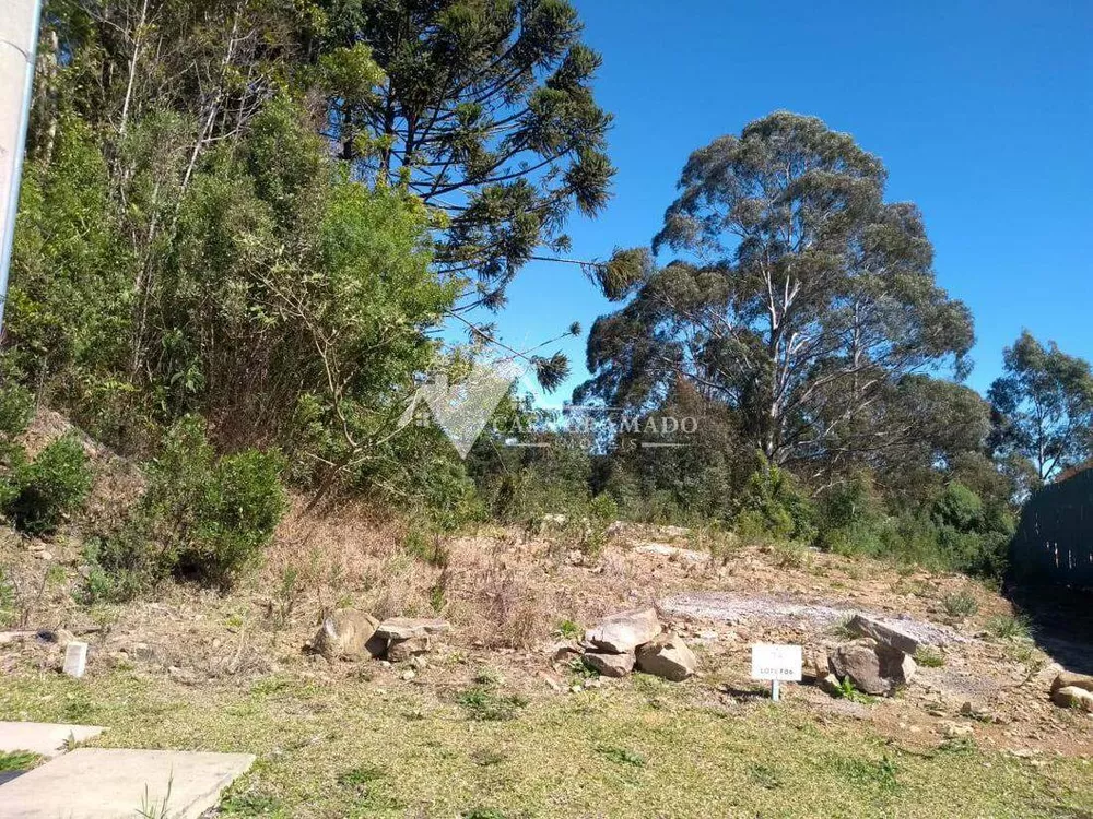 Terreno, 603 m² - Foto 3