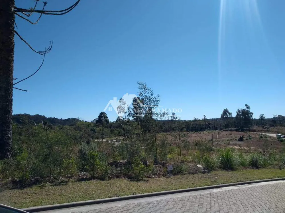 Terreno, 603 m² - Foto 23