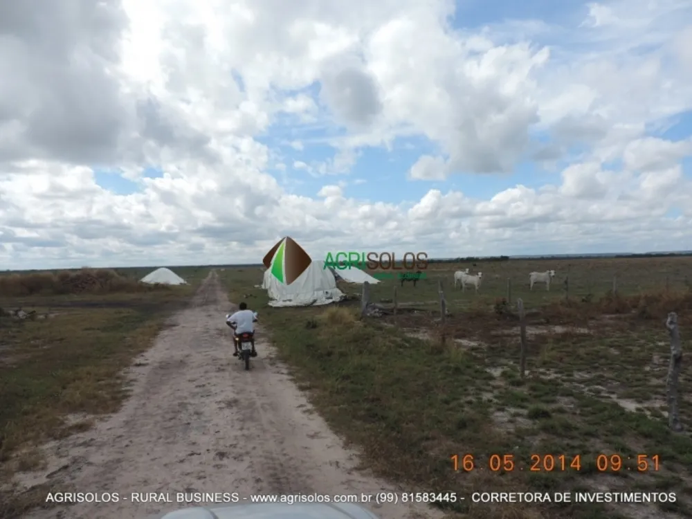 Terreno, 3000 m² - Foto 2