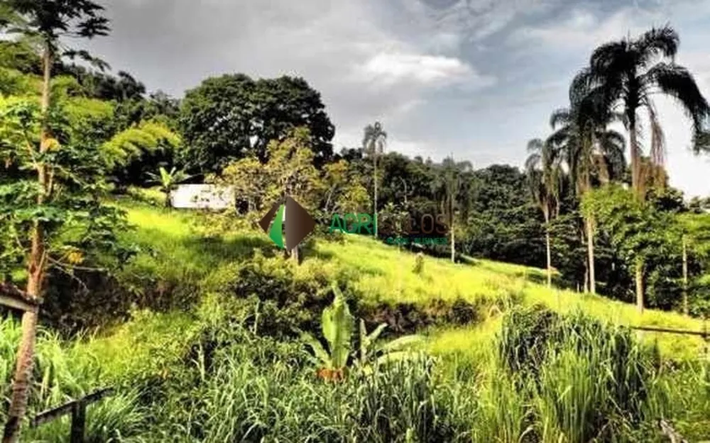 Terreno, 533 m² - Foto 11
