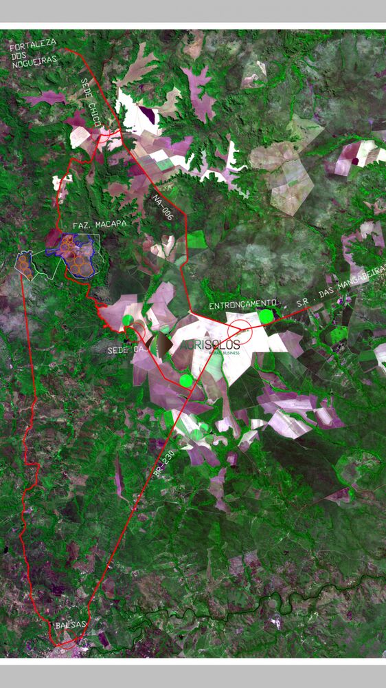 Terreno, 2100 m² - Foto 8