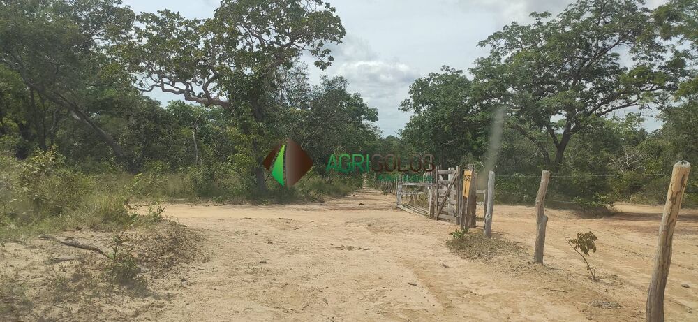 Terreno, 67 hectares - Foto 2