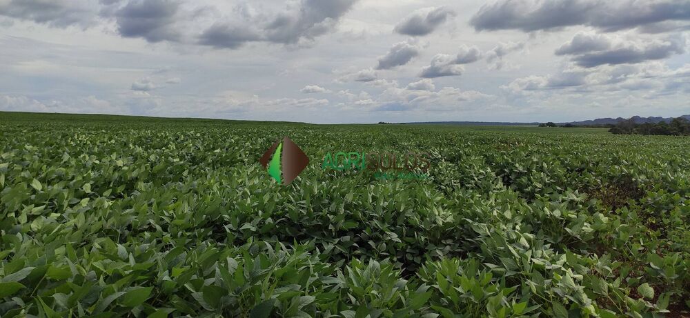 Terreno, 67 hectares - Foto 4