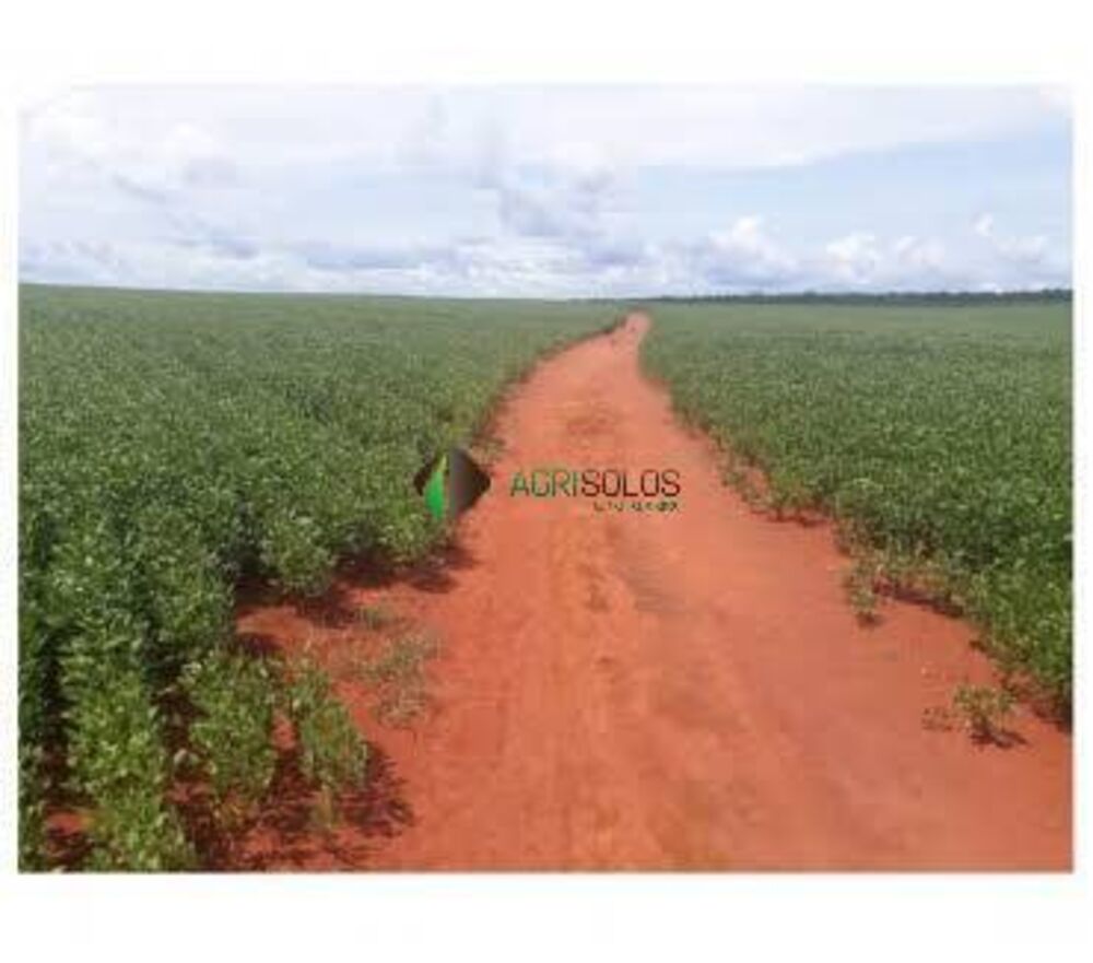 Terreno, 67 hectares - Foto 3