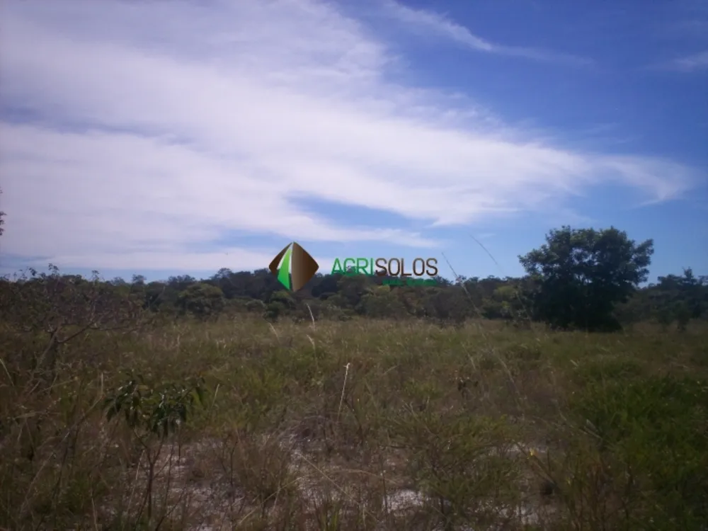 Terreno, 3 hectares - Foto 7