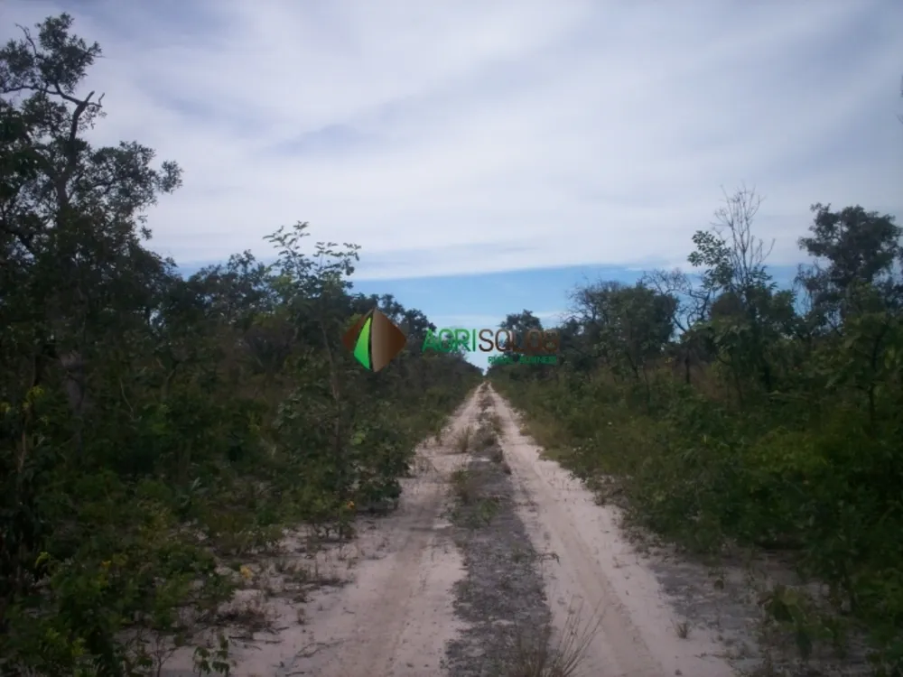 Terreno, 3 hectares - Foto 8