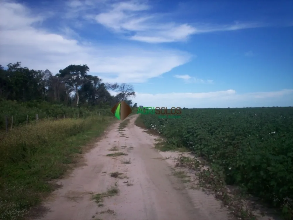 Terreno, 3 hectares - Foto 9