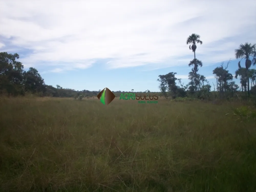 Terreno, 3 hectares - Foto 3