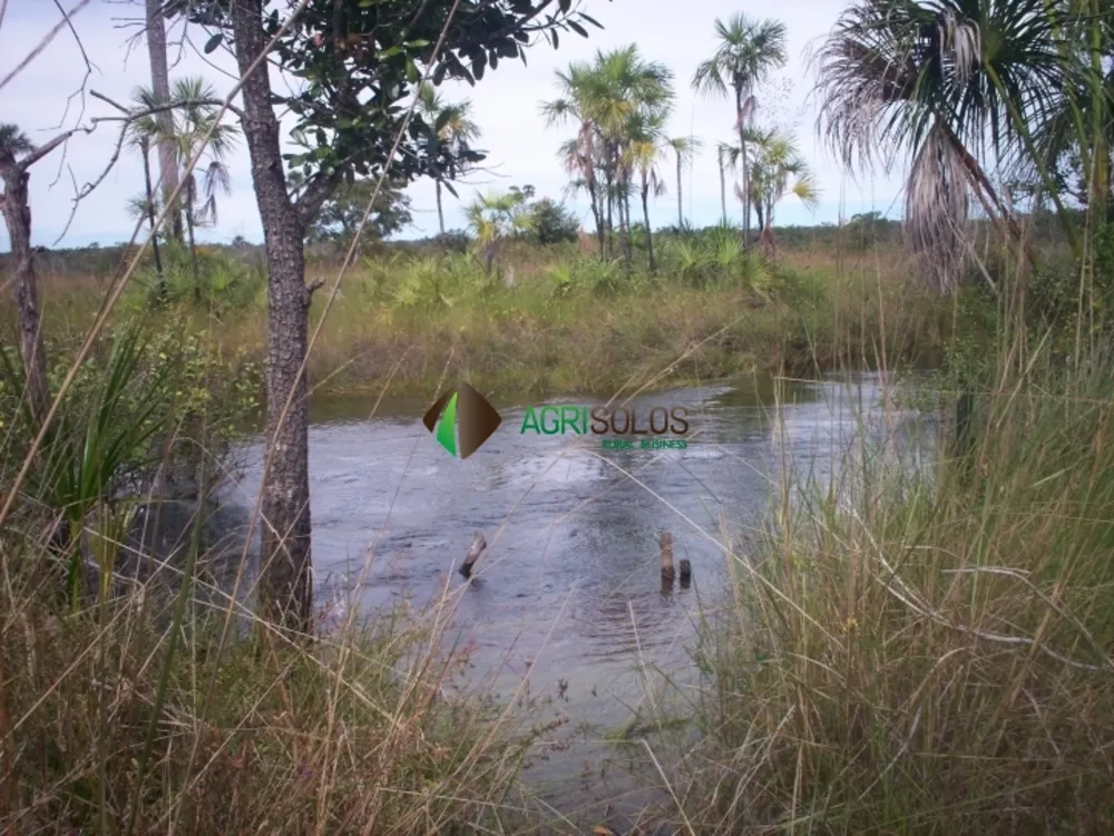 Terreno, 3 hectares - Foto 4