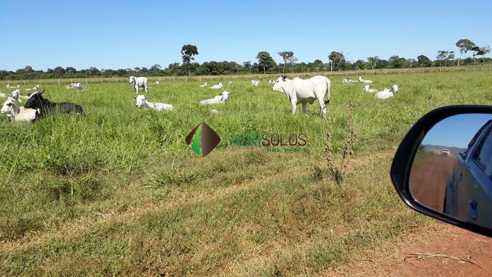 Terreno, 1 hectares - Foto 2