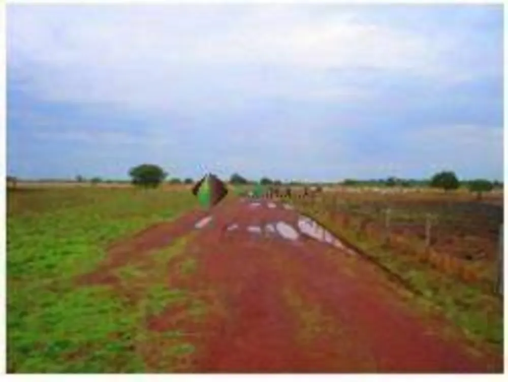 Terreno, 4 hectares - Foto 4