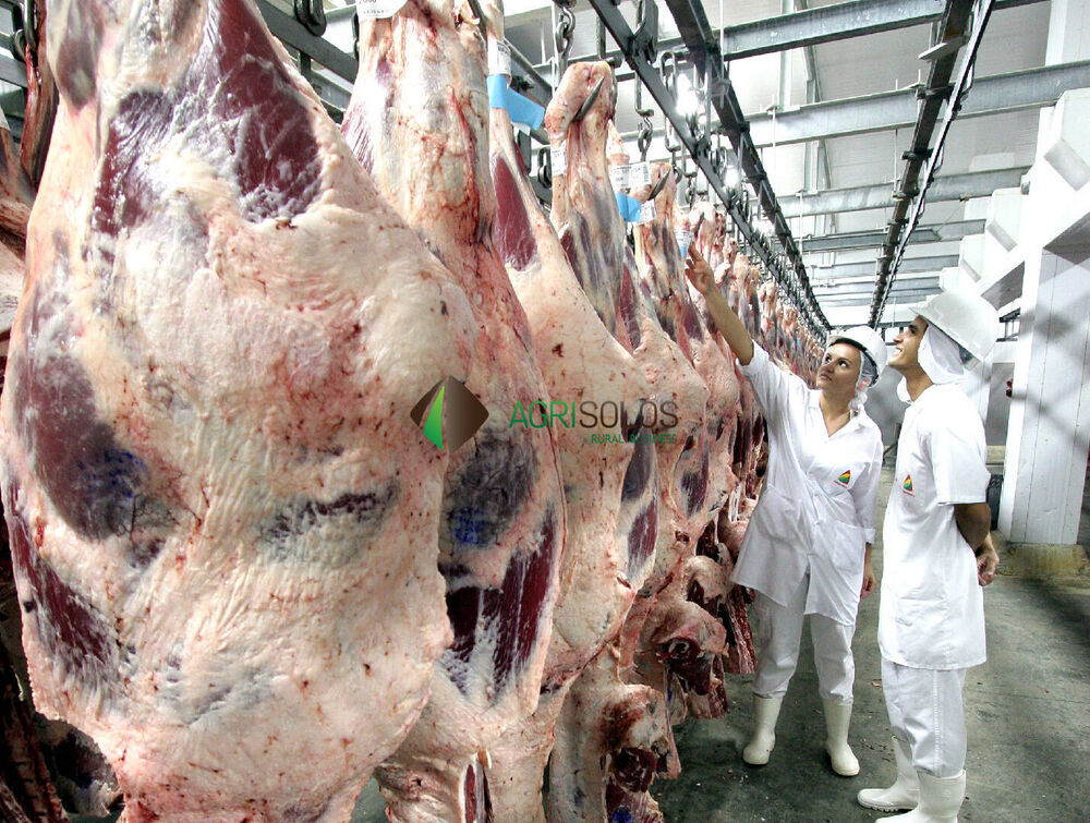 Terreno, 24 hectares - Foto 3