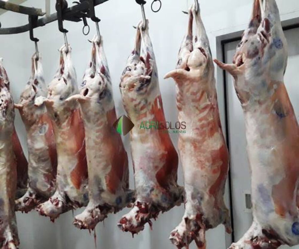 Terreno, 24 hectares - Foto 2