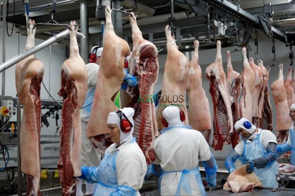 Terreno, 24 hectares - Foto 1