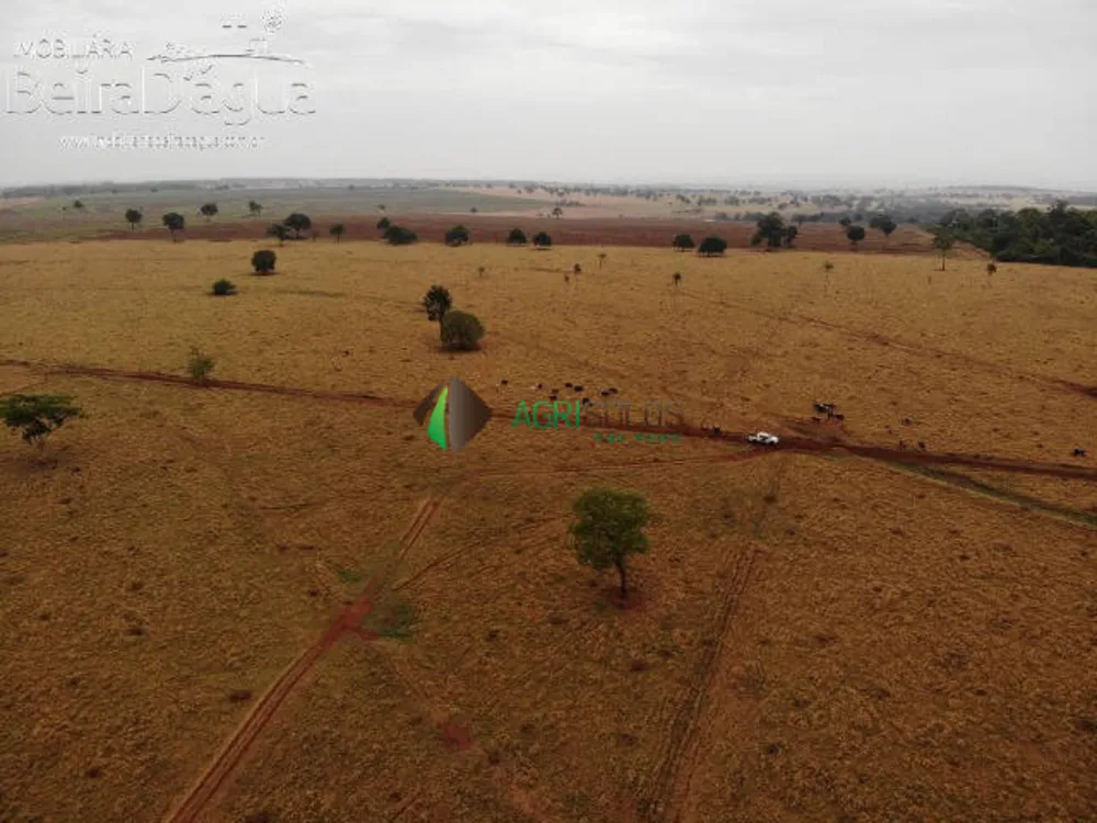 Terreno, 1 hectares - Foto 3
