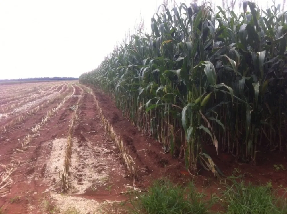 Terreno, 15700 hectares - Foto 2