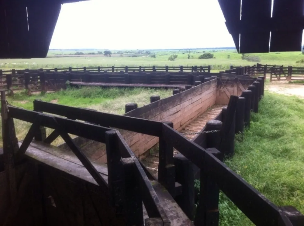 Terreno, 15700 hectares - Foto 6